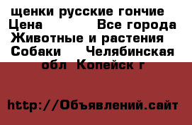щенки русские гончие › Цена ­ 4 000 - Все города Животные и растения » Собаки   . Челябинская обл.,Копейск г.